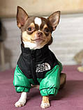 Куртка для собак The Dog Face XS, фото 7