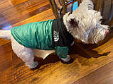 Куртка для собак The Dog Face XS, фото 8