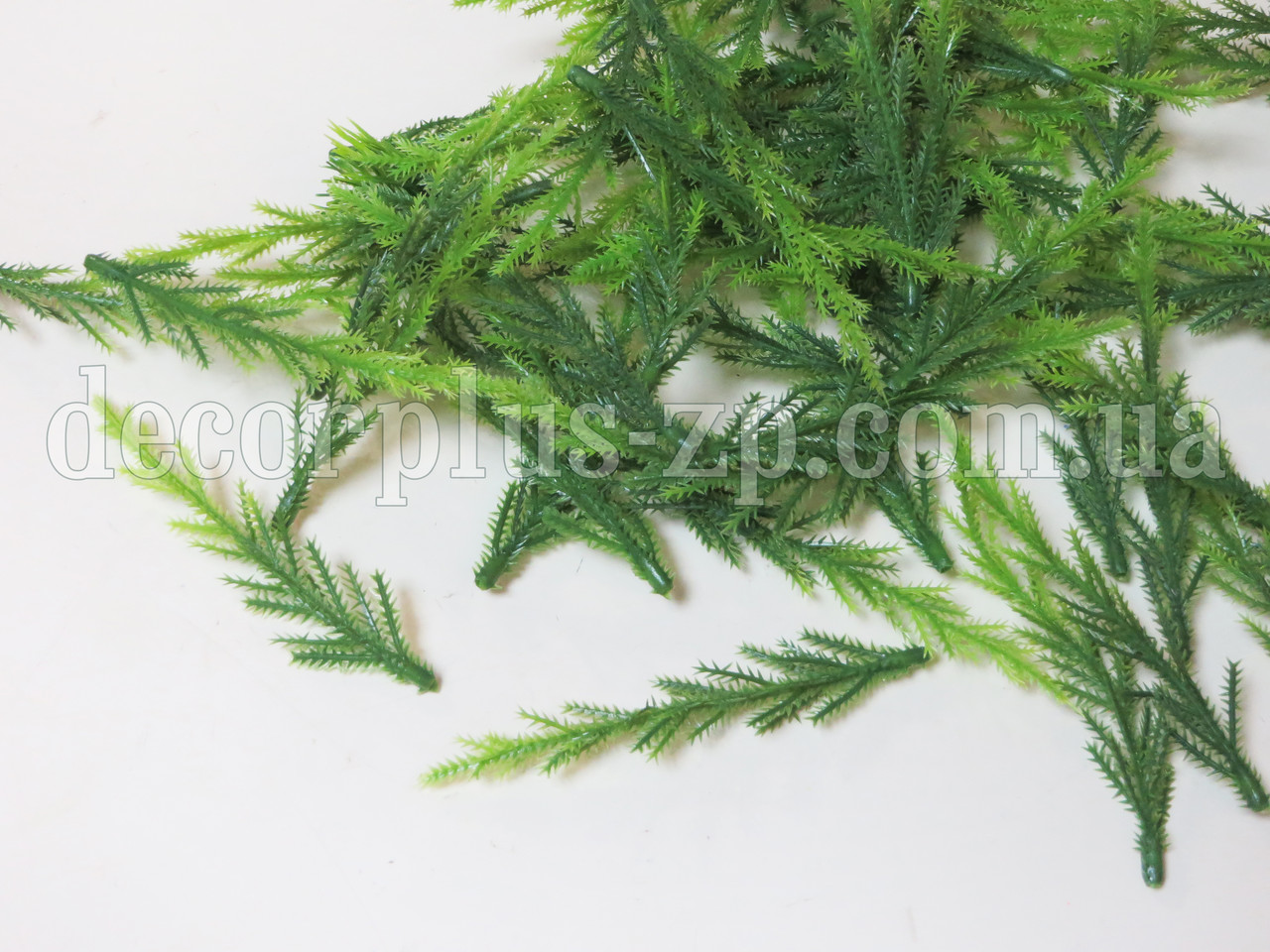 Добавка туї 9см (Уп 10шт), фото 1