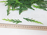 Добавка туї 9см (Уп 10шт), фото 2