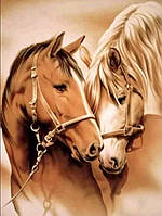 Набор для рисования картин по номерам (раскраска) Пара лошадей