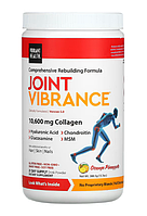 Vibrant Health Joint Vibrance 388,5g