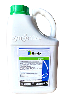Інсектицид Енжіо Syngenta - 5 л, фото 2