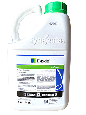 Інсектицид Енжіо Syngenta - 5 л, фото 2
