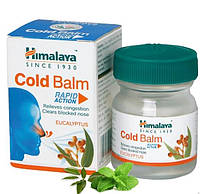 Колд балм / Сold Balm - бальзам от простуды и головной боли - Хималая - 10 гр