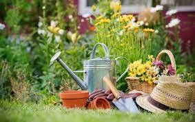 Сад і город