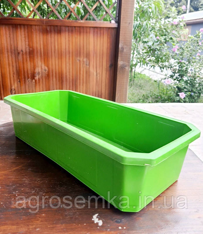 Піддон (лоток) для розсади 38x16x6см