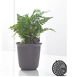 Кошик для добрив, фото 5