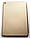 Чохол для Ipad 7/8/9 (10,2) 2019/2020/2021 Smart case (Gold), фото 6