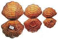Декоративные плетенные корзины "Ракушки", набор из 3-х шт, 25 см