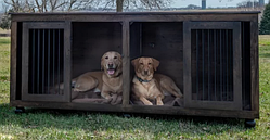 Вольєр для собак в будинок