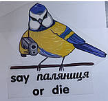 Термоналіпка на одяг "Синиця-паляниця", фото 2