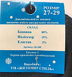 Шкарпетки чоловічі теплі махра Житосвіт р. 42-45,, фото 3