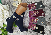 Шкарпетки жіночі розмір 35-38 високі ангора з махрою за 1 пару GNG 9905