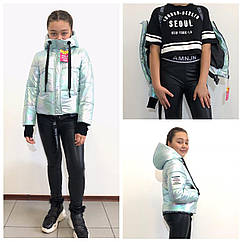 Демісезонна модна куртка Веселка для дівчаток, з підтяжками Розміри 36 - 38