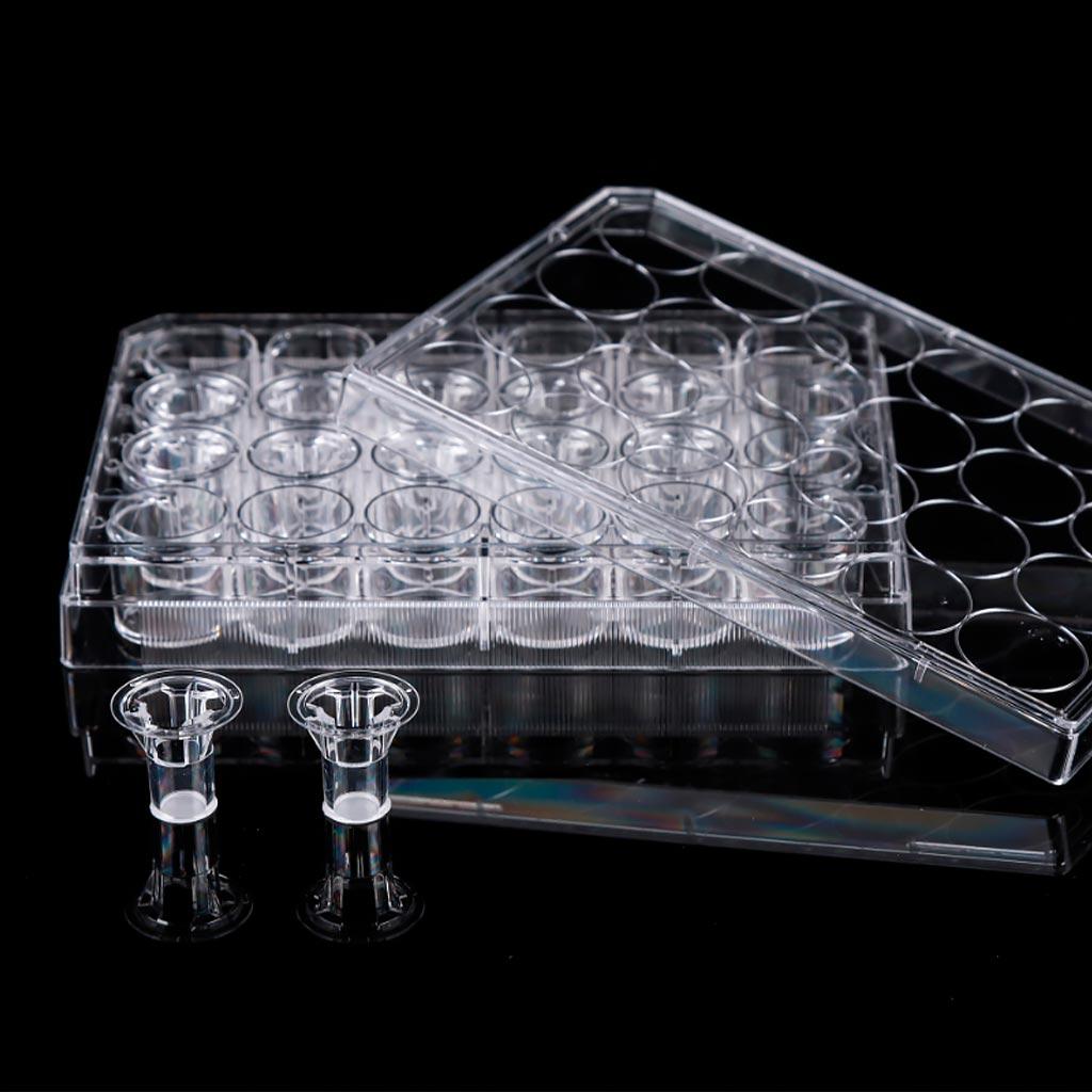 Вставки для культур клітин, розмір пор мембрани 0,4 мкм (12 шт/уп)