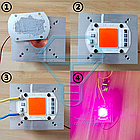 Світлодіодна фітоматриця (фітодіод) 30 Вт 220 В для рослин, повний спектр, фото 10
