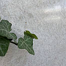 Гладкий камінь, фото 7