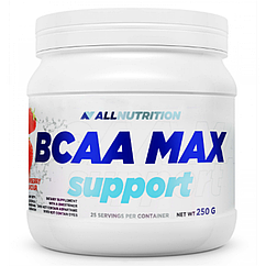 БЦАА AllNutrition BCAA Max Support 250 г Black curant