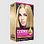 Крем-краска для волосся стійка, тон Попелястий блонд 9.1 Color Essence, фото 3