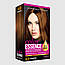 Крем-краска для волосся стійка, тон Каштан 4.0 Color Essence, фото 3