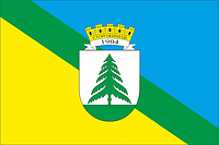 Флаг города Сторожинец Атлас, 1,05х0,7 м, Карман под древко