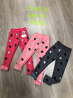 Лосини на хутрі для дівчаток оптом, S&D, 98-128 рр., арт. CH- 6875, фото 9