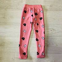 Лосини на хутрі для дівчаток оптом, S&D, 98-128 рр., арт. CH- 6875, фото 5