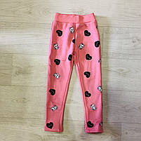 Лосини на хутрі для дівчаток оптом, S&D, 98-128 рр., арт. CH- 6875, фото 4