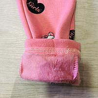 Лосини на хутрі для дівчаток оптом, S&D, 98-128 рр., арт. CH- 6875, фото 6