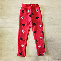 Лосини на хутрі для дівчаток оптом, S&D, 98-128 рр., арт. CH- 6875, фото 2