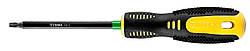 Topex39D845 Вікрутка Torx T25 x 100 мм