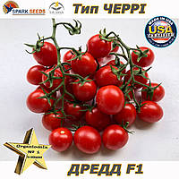 Насіння, томат Черрі (низькорослий) Дредд F1 / Dred F1, ТМ Spark Seeds Seeds, 500 насіння