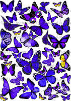 Друк їстівного фото Формат А4 Вафельний папір Метелики No5