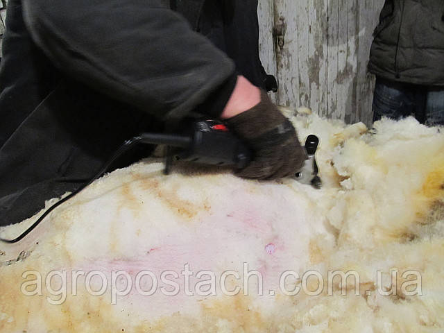 Машинка для стрижки овець - фото 3 - id-p3689254