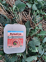 Регулятор росту |ФУЛЬВІГУМ|. Мікродобрива (Фульвігум). ТМ "Лайф Біохем", фото 5