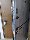Двері вхідні ПУ-Line, фото 2