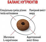 Сухий корм для котів від 1 до 7 років схильних до випрошування їжі Royal Canin Appetite Control 0.4 кг, фото 4