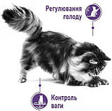 Сухий корм для котів від 1 до 7 років схильних до випрошування їжі Royal Canin Appetite Control 0.4 кг, фото 2