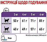 Сухий корм для котів від 1 до 7 років схильних до випрошування їжі Royal Canin Appetite Control 0.4 кг, фото 3