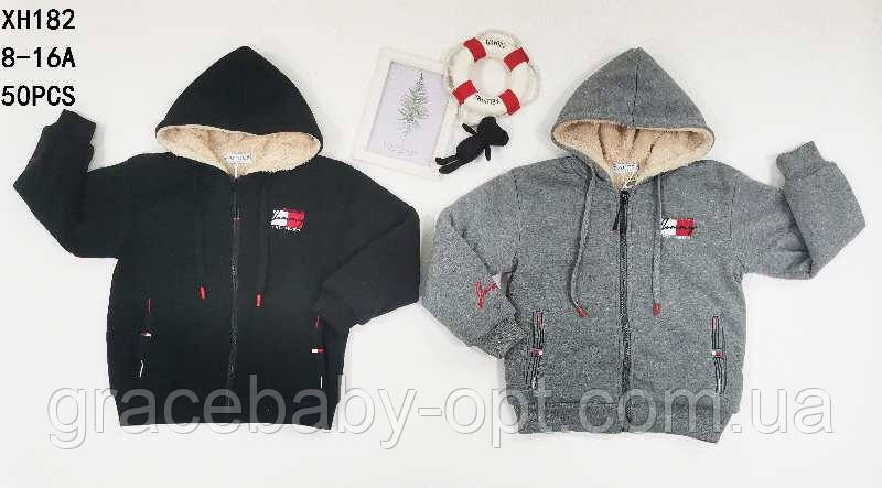 Пайта утеплена для хлопчика оптом, Taurus, 8-16 років, № XH-182, фото 1