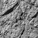 Супер модна СКЕЛЯ (МАТЕРІАЛ З ВИКОНАННЯМ), фото 4