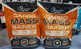 Гейнер Powerful Progress Carbo Mass Gainer 4 кг, фото 4