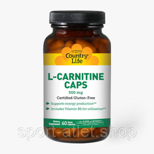 Жироспалювач Country Life L-Carnitine, 60 капсул, фото 1