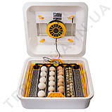 Теплуша 88 220/50 ТАВ з автоматичним перевертанням яєць та гігрометром, фото 2