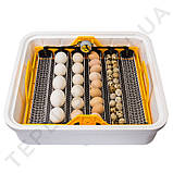 Теплуша 88 220/50 ТАВ з автоматичним перевертанням яєць та гігрометром, фото 4