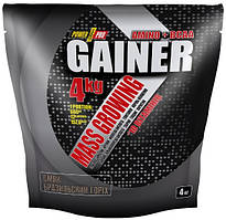 Купити Power Pro - Gainer (4000 грамів) brazilian nut/бразильський горіх