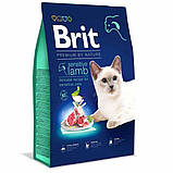 Brit Premium Sensitive Lamb для кішок з ягням 300 г, фото 2