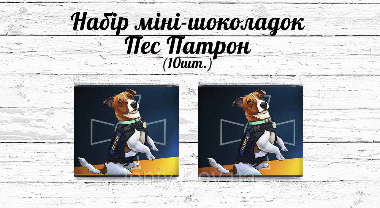Набір патріотичних міні шоколадок "Пес Патрон" 10шт.