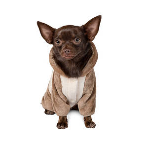 Комбінезон Pet Fashion "Норд" (ліловий), фото 4